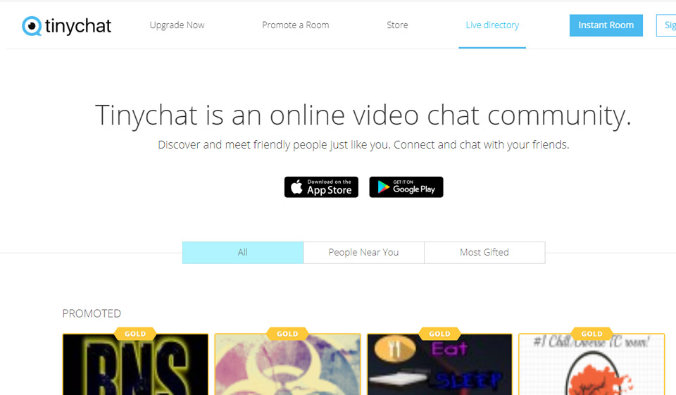 TinyChat Review September 2024